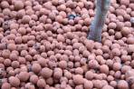 Bolas de argila da Siro