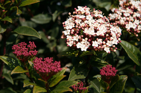  /></a><br />
Hoje fomos ao Parque da Cidade comprar legumes bio e deu para tirar umas fotografias. A zona rural está muito agradável. Os preços no café parecem-me algo exagerados.</p>
		    
	      </div>
		<br clear=